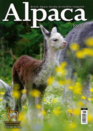 Alpaca Magazine