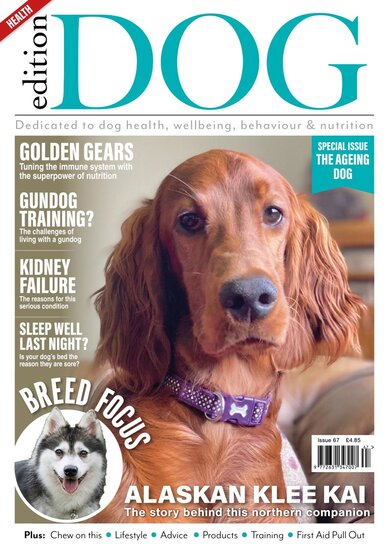 Edition Dog Magazine