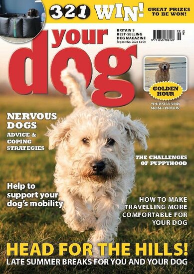 Your Dog Magazine