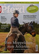 Mein Pferd